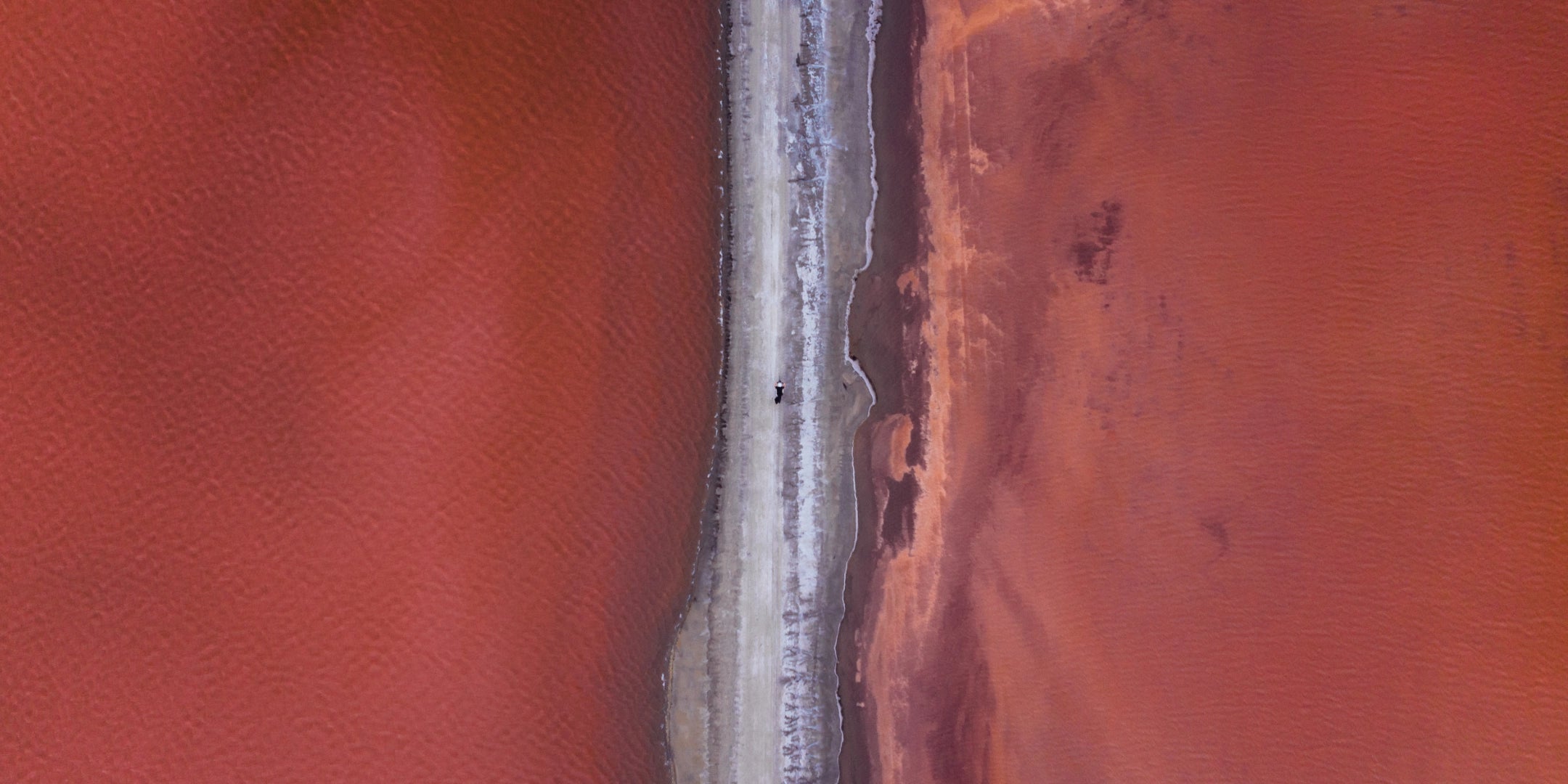 Le Bastille dans les salins de Camargue